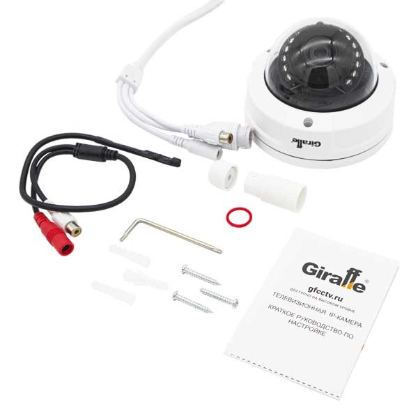 Антивандальная IP видеокамера с Аудиовходом и Микрофоном GF-IPVIR4356MPA2.0