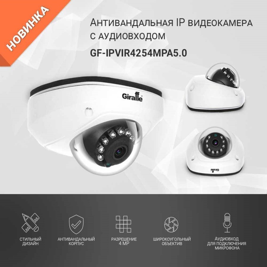 Антивандальная IP видеокамера с Аудиовходом GF-IPVIR4254MPA5.0